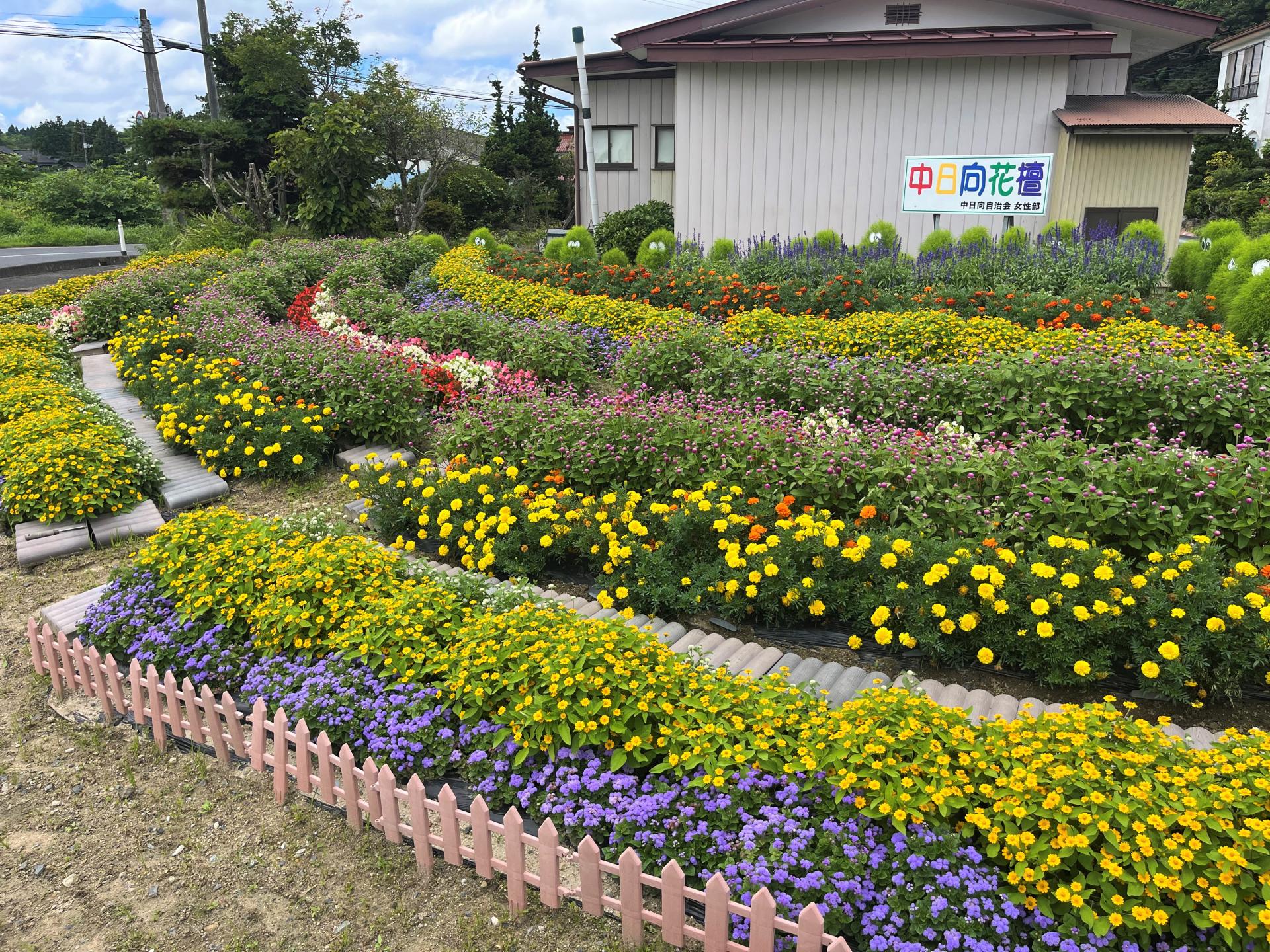 一般花壇部門 中日向自治会女性部（千厩）